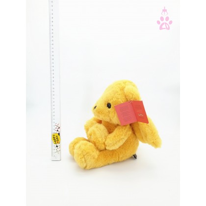 Angel Bear SoftToys/PlushToys/KidsToys 25-35cm 天使熊娃娃玩具公仔25厘米-35厘米 Angel Bear SoftToys/PlushToys/KidsToys 25-35cm 天使熊娃娃玩具公仔25厘米-35厘米