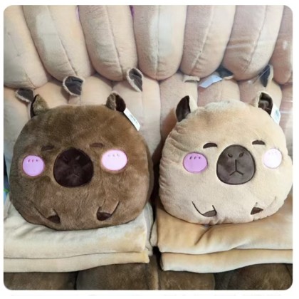 Round Capybara Pillow With Blanket   圆圈卡比巴拉枕头被